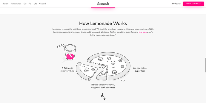 Pizza illustration example of easy visual experience on Lemonade's  homepage